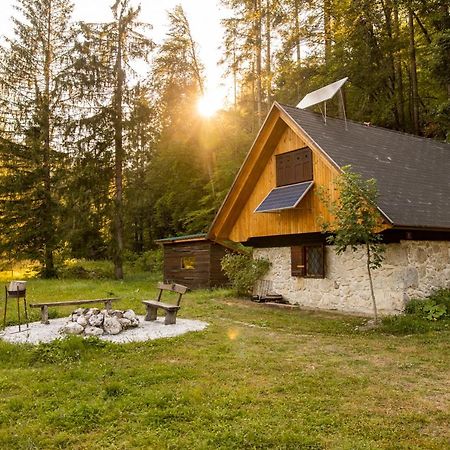 Marko's eco cabin Bled Esterno foto