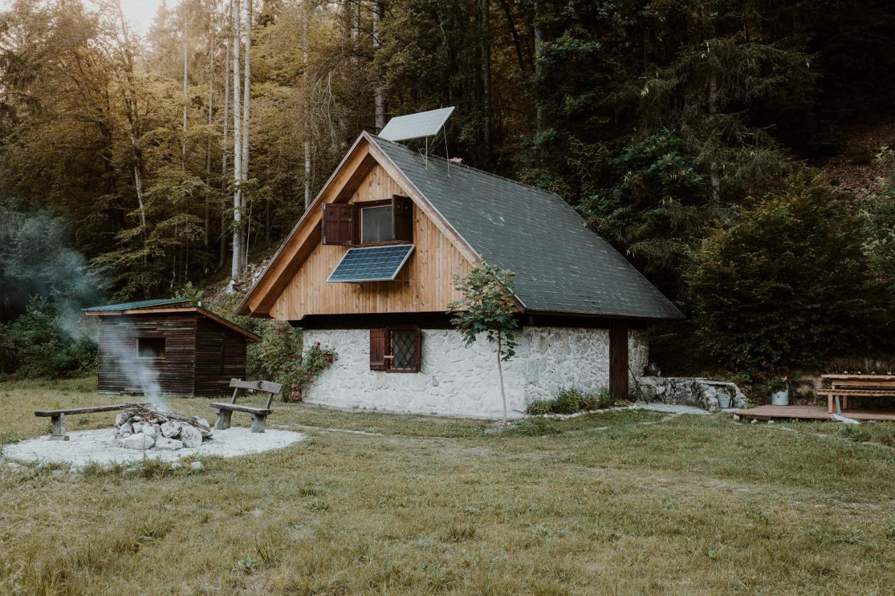 Marko's eco cabin Bled Esterno foto