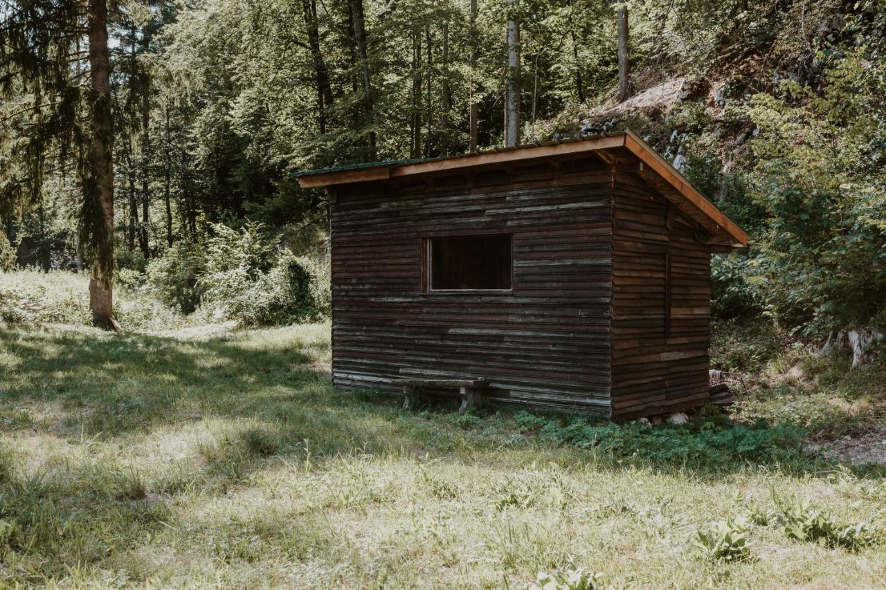 Marko's eco cabin Bled Esterno foto